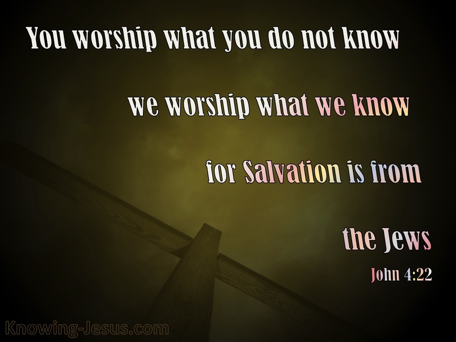 John 4:22 Salvation Is From The Jews (brown)